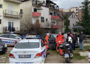 Krimi në familje në Tiranë/ Dëshmia tronditëse: Ja përse e vrava motrën me thikë!