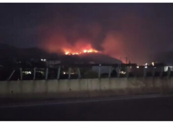 “Skuqen” nga zjarret kodrat e Lushnjës, zjarri po përhapet me shpejtësi