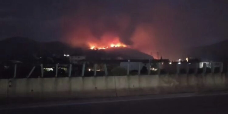 “Skuqen” nga zjarret kodrat e Lushnjës, zjarri po përhapet me shpejtësi