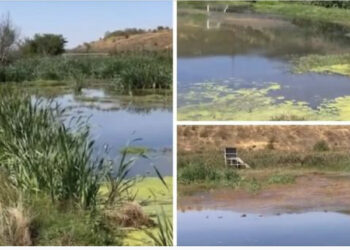 Si mund të dalësh futbollist nga këtu?!- Dalin  pamjet skandaloze të fushës ku ka luajtur Mirlind Daku