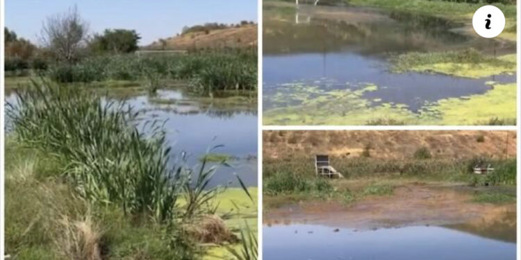 Si mund të dalësh futbollist nga këtu?!- Dalin pamjet skandaloze të fushës ku ka luajtur Mirlind Daku