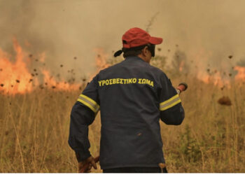 VIDEO/ Zjarret jashtë kontrollit në Greqi, Evros digjet për 14-ën ditë radhazi