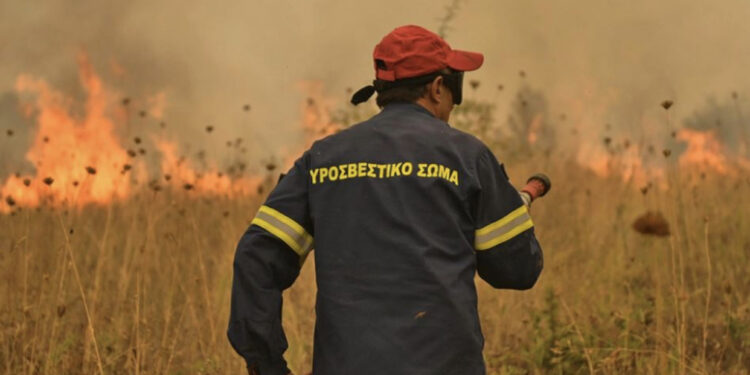 VIDEO/ Zjarret jashtë kontrollit në Greqi, Evros digjet për 14-ën ditë radhazi
