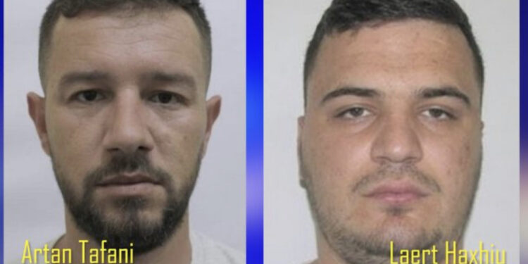 Grabiti 40 mijë euro në një exchange në Tiranë, bëhet bashkëpunëtori i drejtësisë: Zbardhen 6 vrasje të grupit të Laert Haxhiut