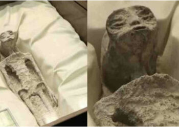 PAMJE TË RRALLA/ Prezantohen në Meksikë trupat e dy UFO-ve 1 mijë vjeçarë