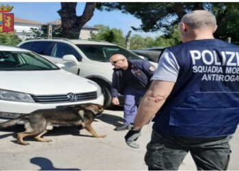 Me kokainë drejt Zvicrës, arrestohet i riu shqiptar