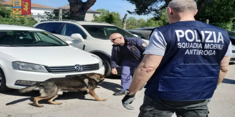 Me kokainë drejt Zvicrës, arrestohet i riu shqiptar