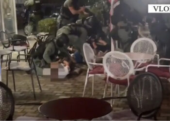 “Do bënin vrasje”! Kush janë 6 të rrezikshmit që RENEA i kapi me “presh në dorë”?