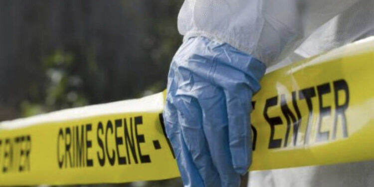 Po festonin një ditëlindje, vritet familja prej 9 anëtarësh