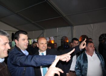 Detaje/ Si ndalua në aeroportin e Rinasit Jamarbër Malltezi