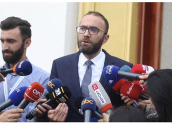 Bardhi: Berisha s’ka frikë! Basha paguhet, por vjen në parlament vetëm për të votuar