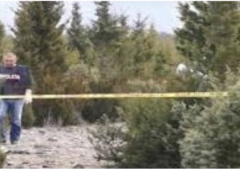 Ishte denoncuar i zhdukur nga familjarët, gjendet pa jetë në Dajt i moshuri nga Tirana