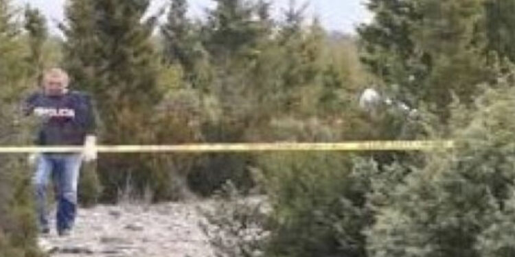 Ishte denoncuar i zhdukur nga familjarët, gjendet pa jetë në Dajt i moshuri nga Tirana