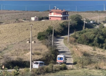 FOTO nga vendi i ngjarjes/ Grushte dhe plumba për tokën (Ish-deputeti dhe 7-të të arrestuarit e tjerë)