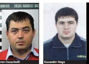 Dy vëllezër në gjyq! Shënjestra ishte hasmi, Noga e donte të vdekur, por killeri gaboi