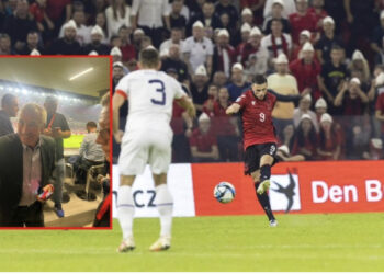 Spektakli i kombëtares, Edy Reja në tribunë në mbështetje të Shqipërisë