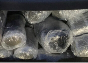 Policia greke sekuestron 49 kg marijuanë në kufi, arrestohen 2 shqiptarë dhe 1 grek