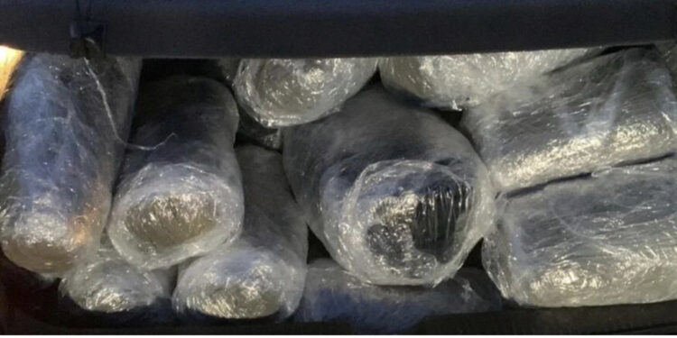 Policia greke sekuestron 49 kg marijuanë në kufi, arrestohen 2 shqiptarë dhe 1 grek