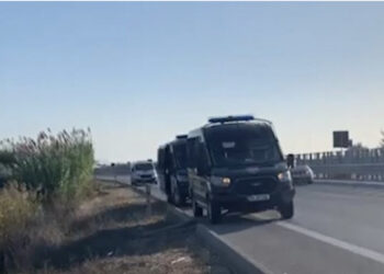 FNSH zbarkon në Vlorë, gjen 5 mijë rrënjë kanabis, arrestohet një person