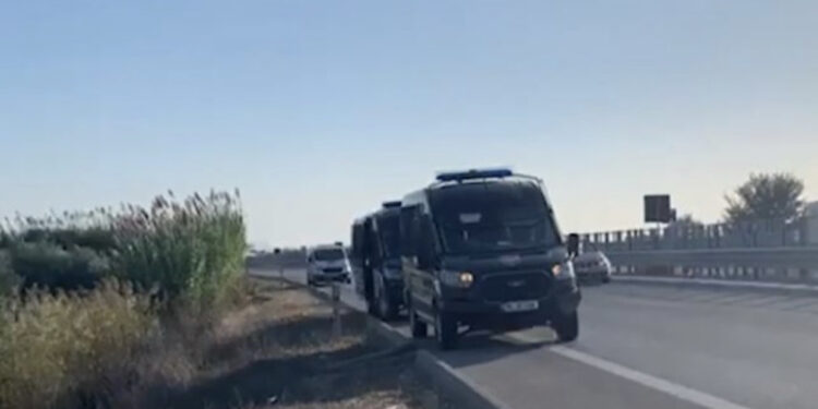 FNSH zbarkon në Vlorë, gjen 5 mijë rrënjë kanabis, arrestohet një person