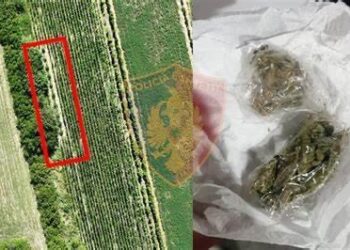 Aksioni FNSH-së në Bishan, shkon në katër numri i të arrestuarve