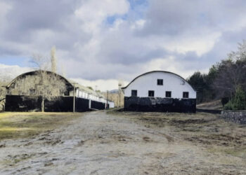 Dokumenti/ Depot bosh/ KLSH: Shqipëria nuk ka asnjë kokërr grurë rezervë 