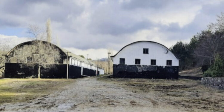 Dokumenti/ Depot bosh/ KLSH: Shqipëria nuk ka asnjë kokërr grurë rezervë