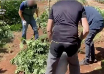 Shterimi i ujit në zonë e nxori zbuluar, zbulohet plantacioni me drogë i shqiptarit në Spanjë