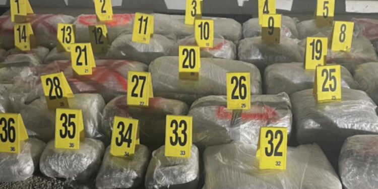 Kapet marijuanë me vlerë 400 mijë euro në kufirin me Serbinë, arrestohen dy persona