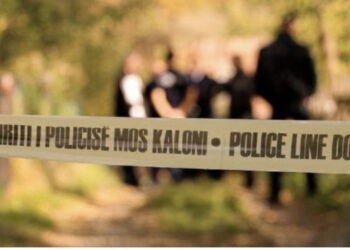 Vëllai shkon në shtëpi dhe gjen vëllanë e vdekur