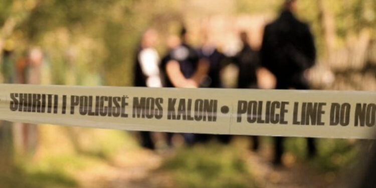 Vëllai shkon në shtëpi dhe gjen vëllanë e vdekur
