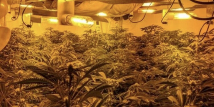 Shkatërrohet banda e drogës në Spanjë, mediat: “Koka” e grupit ishte shqiptar, nuk mund t’i shpenzonte dot milionat