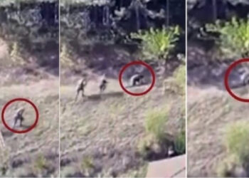 VIDEO/ Vranë efektivin Afrim Bunjaku, momenti kur serbët arratisen në male, braktisin ‘shokun’ e plagosur