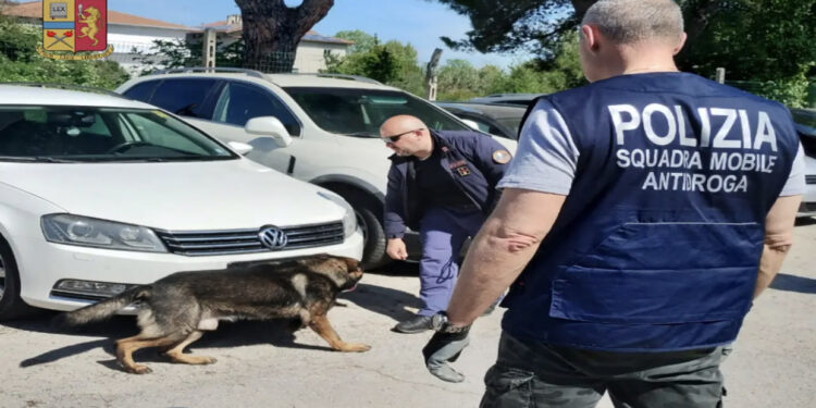 Pjesë e një grupi për trafik droge, arrestohen 3 shqiptarë në Itali
