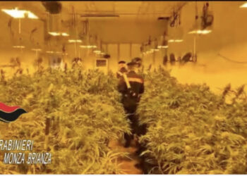 Policia italiane zbulon serën super teknologjike me drogë, pranga të riut shqiptar