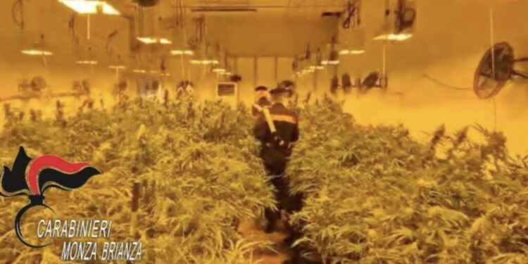 Policia italiane zbulon serën super teknologjike me drogë, pranga të riut shqiptar