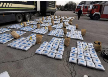 Me 782 kg marijuanë nga Shqipëria, Europol arreston 6 serbë