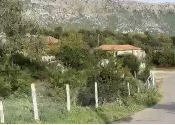 Grabitja dhe përleshja me armë në Lezhë, reagon policia: Janë shoqëruar 8 persona