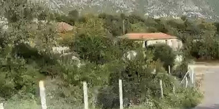 Grabitja dhe përleshja me armë në Lezhë, reagon policia: Janë shoqëruar 8 persona