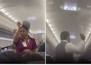 VIDEO/ Mushkonjat “pushtojnë” avionin para nisjes, panik te pasagjerët