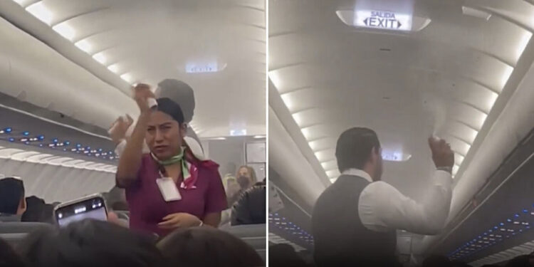 VIDEO/ Mushkonjat “pushtojnë” avionin para nisjes, panik te pasagjerët