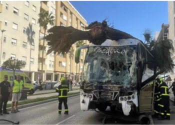 Autobusi përfundon në trotuar, përplas për vdekje 3 persona
