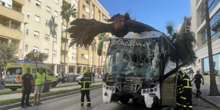 Autobusi përfundon në trotuar, përplas për vdekje 3 persona