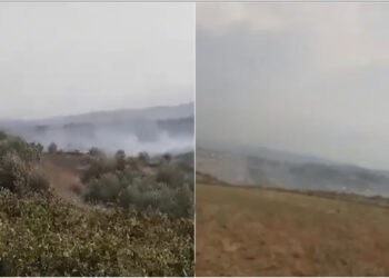 Aktivizohen tre vatra zjarri në Marinzë, rrezikohen banesat