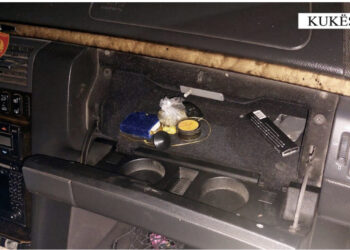 Lëvizte me automjet, me kanabis dhe shkop bejsbolli, ndërkohë që ishte në “arrest shtëpie”, pranga 19-vjeçarit