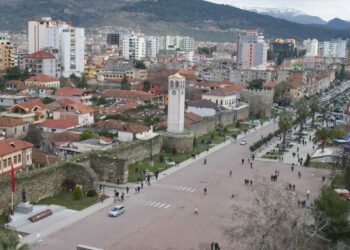 Ndodh dhe kjo/ 3 adoleshentë vjedhin bashkinë e Elbasanit
