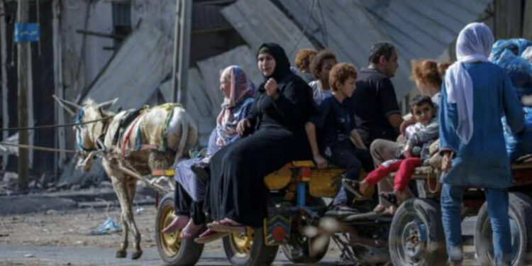 FOTO/ Terr, vrasje dhe mjerim, si përkthehet ndërperja e komunikimit në Gaza gjatë bombardimeve të Izraelit