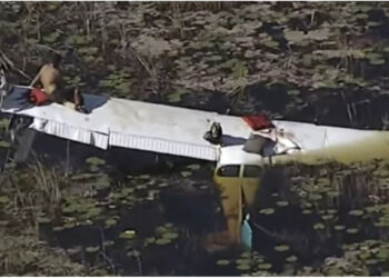 VIDEO/ Rrëzohet avioni në Florida, piloti qëndron për 9 orë në moçalin e rrethuar me krokodilë