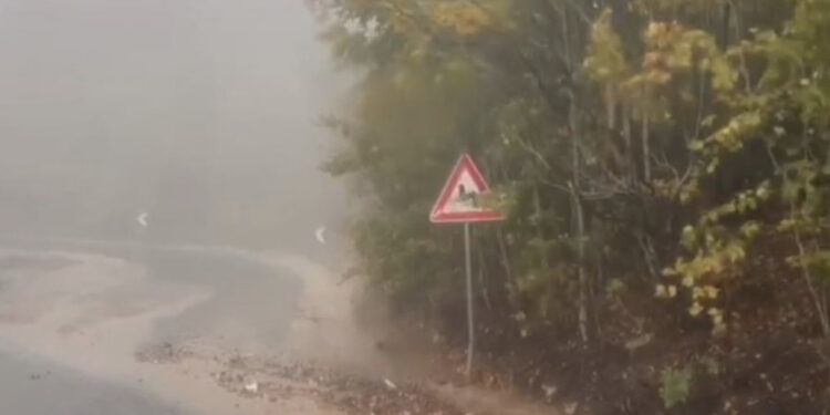 Stuhia “Ciaran”, situatë e vështirë në rrugët e Dibrës