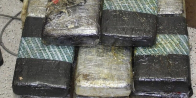 Trafikuan 950 kg kokainë, nis gjyqi për familjen shqiptare në Belgjikë. Si i pastruan miliona euro nga trafiku i drogës